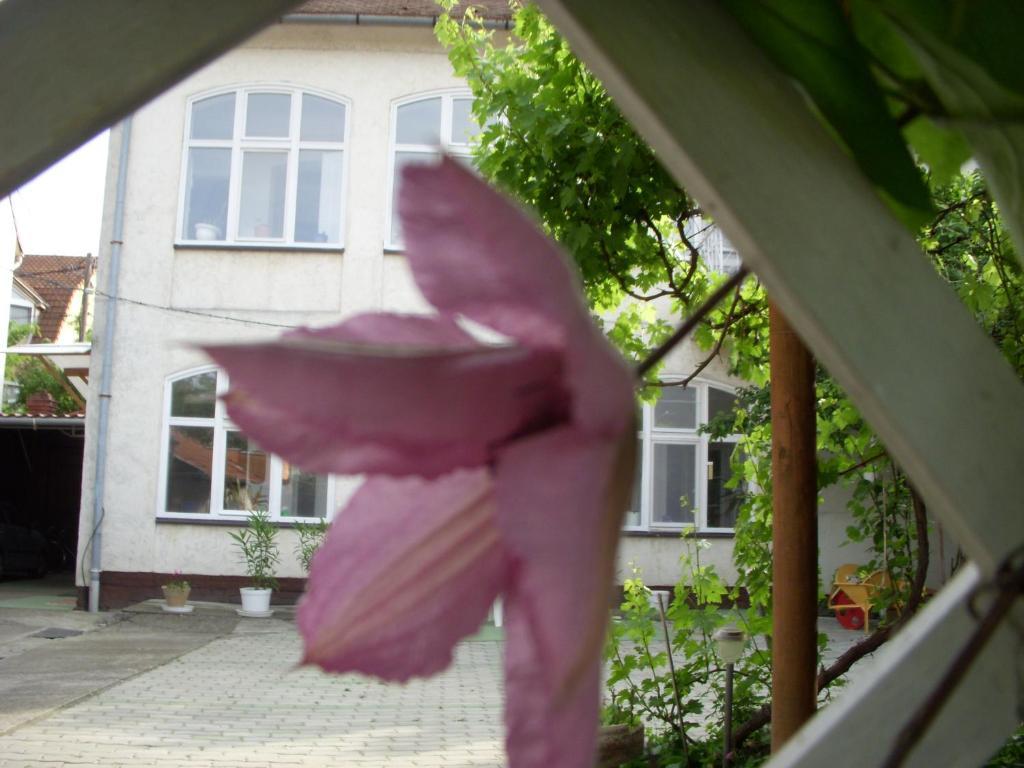 Garden 39 Vendégház Szeged Exterior foto